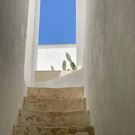 Nel Cuore Di Torre *